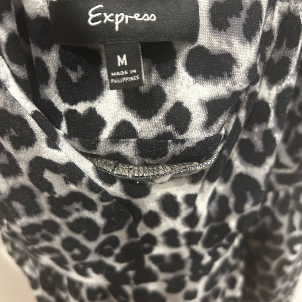 Express Leopard Dress - Picture 5 of 5